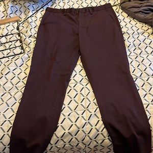 Express dress pants